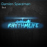 Damien Spaceman