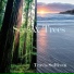 Travis Sullivan feat. Dave Berger, John Menegon