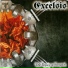 Excelsis