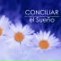 Sueño Lucido