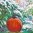 Turban Squash Kales Kohlrabi
