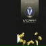 V'Cara