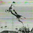 Athlete Whippet
