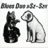 Blues Duo