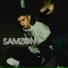 Samzon