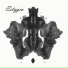 Estygia