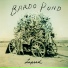 Bardo Pond