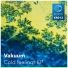 Vakuum