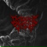 Disfigurement of Flesh