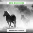 Joe Bushkin