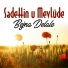 Sadettin u Mevlude