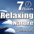 Nature Sounds