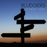 Bludgers