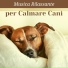 Oriente, Rilassamento & Benessere