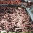 Punkreas