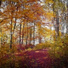 Spa Music, Meditation Zen Master, New Age