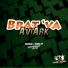 Avi Ark