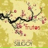 Jorge Suligoy feat. Iñaki Suligoy, Imanol Suligoy