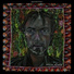 Steve Kilbey