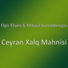 Elgiz Eliyev feat. Mikayil Guleddinoglu