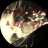 Trond Ihle