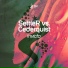 SettleR, Cederquist