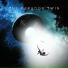 The Paradox Twin
