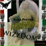 WiZzDoM