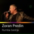 Zoran Predin