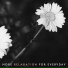 Calming Music Sanctuary