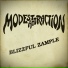 Modest Attraction