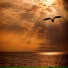 Avto-Graf