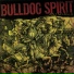 Bulldog Spirit