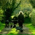 Relaxmydog, Music for Dog's Ears, Sleepy Dogs