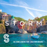 Ian Storm feat. Michael Ford