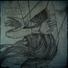 Imicus