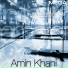 Amin Khani