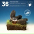 Altitude Music