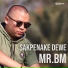 Mr. BM