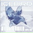 Icebird Project