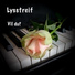 Lysstreif feat. Elen Catherine Hopen Furunes