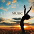 Light Music Guru