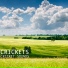 Cricket Sounds