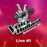 The voice of Holland, Sanne Huisman