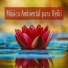 Reiki Armonía