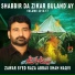Zawar Syed Raza Abbas Shah Naqvi