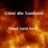 Cinoi Din Tandarei