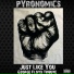 Pyronomics