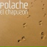 Polache
