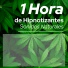 Hipnose Natureza Sons Coleção